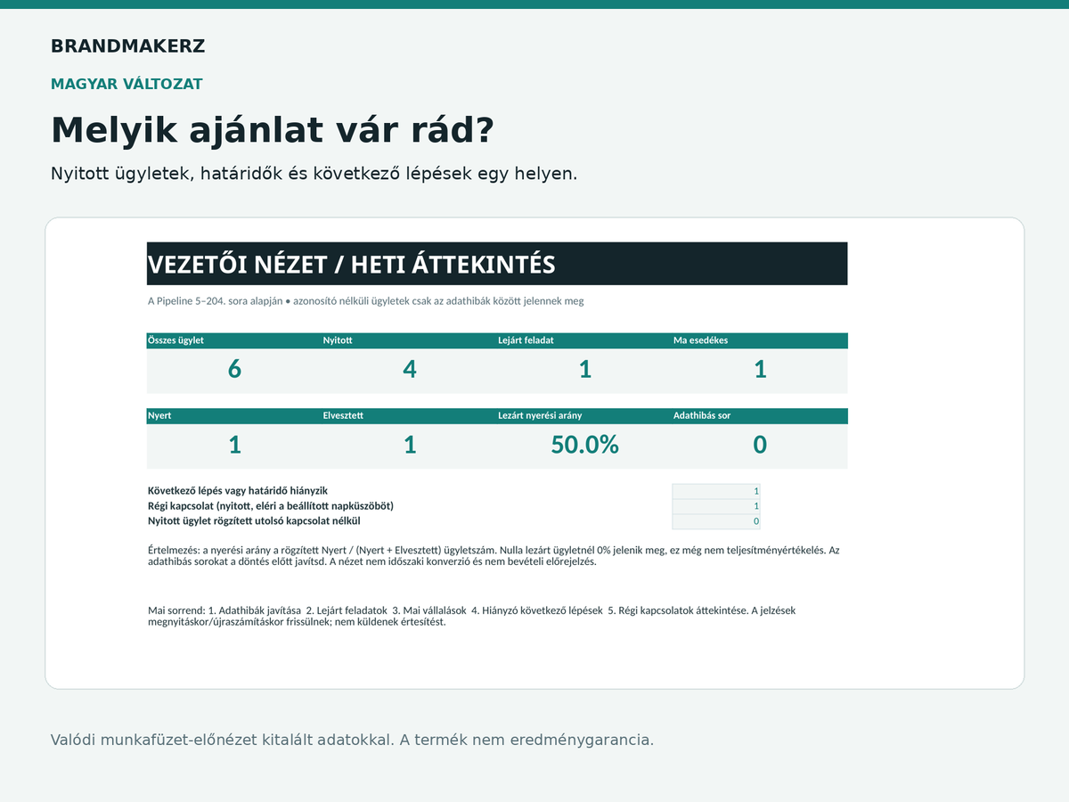 BrandMakerz workbook preview